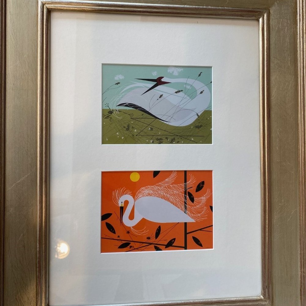 Swans with white matting and soft gold frame